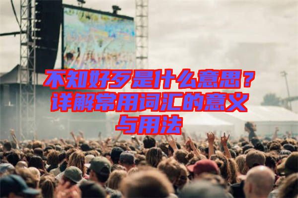 不知好歹是什么意思？詳解常用詞匯的意義與用法