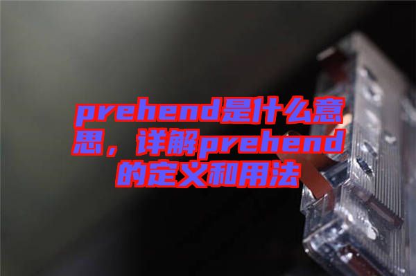 prehend是什么意思，詳解prehend的定義和用法