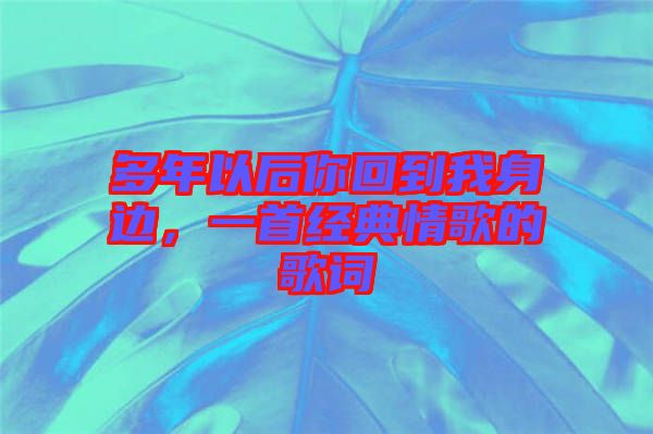 多年以后你回到我身邊，一首經(jīng)典情歌的歌詞