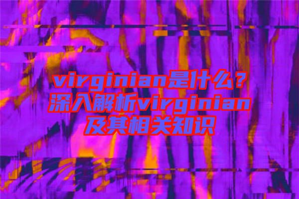 virginian是什么？深入解析virginian及其相關知識