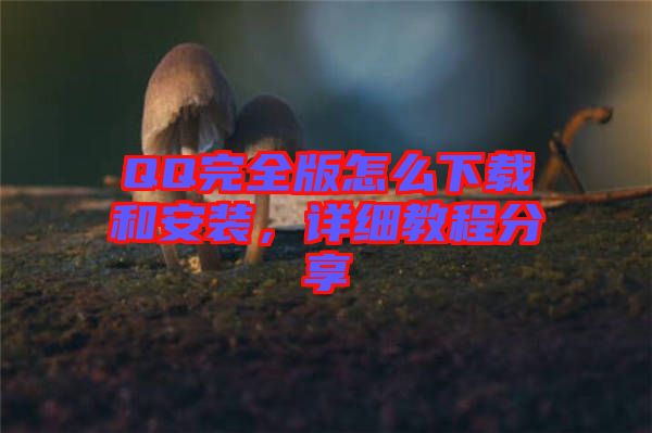 QQ完全版怎么下載和安裝，詳細教程分享