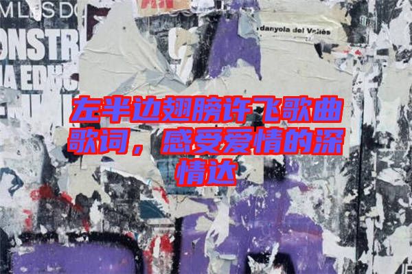 左半邊翅膀許飛歌曲歌詞，感受愛情的深情達