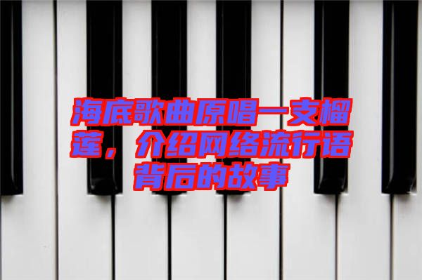 海底歌曲原唱一支榴蓮，介紹網(wǎng)絡(luò)流行語(yǔ)背后的故事