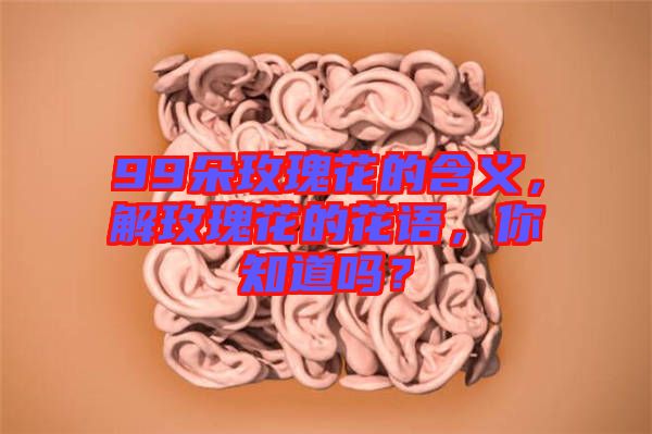 99朵玫瑰花的含義，解玫瑰花的花語，你知道嗎？