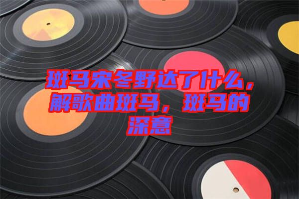 斑馬宋冬野達了什么，解歌曲斑馬，斑馬的深意