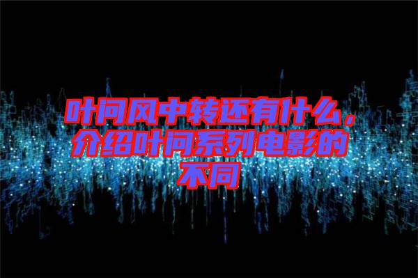 葉問風(fēng)中轉(zhuǎn)還有什么，介紹葉問系列電影的不同