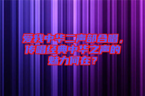 愛我中華二聲部合唱，傳唱經(jīng)典中華之聲的魅力何在？