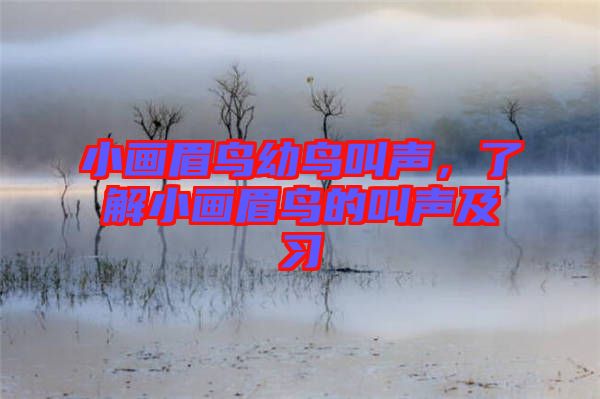 小畫(huà)眉鳥(niǎo)幼鳥(niǎo)叫聲，了解小畫(huà)眉鳥(niǎo)的叫聲及習(xí)