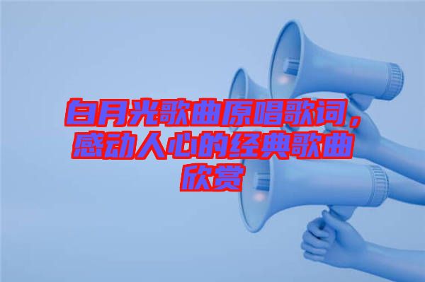 白月光歌曲原唱歌詞，感動人心的經(jīng)典歌曲欣賞