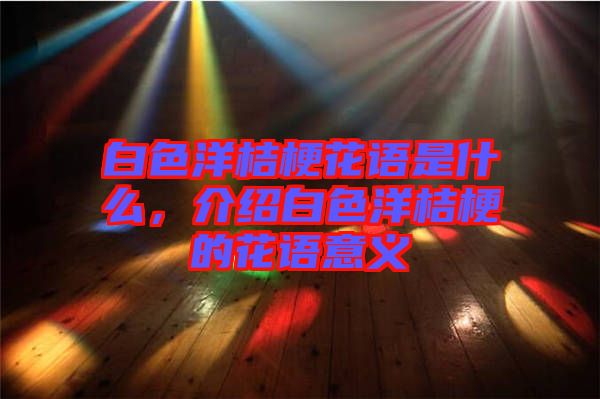 白色洋桔梗花語是什么，介紹白色洋桔梗的花語意義