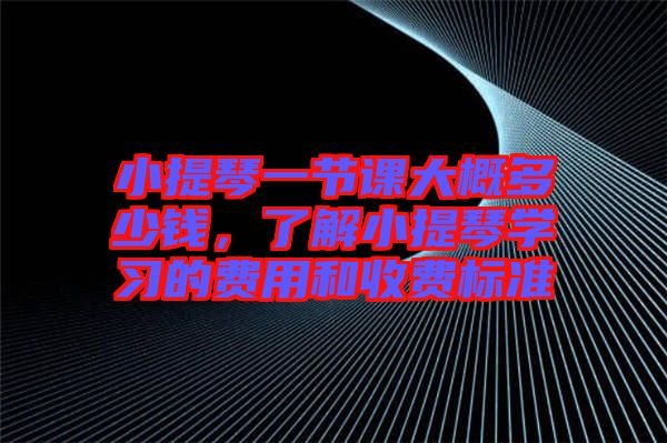 小提琴一節(jié)課大概多少錢，了解小提琴學(xué)習(xí)的費(fèi)用和收費(fèi)標(biāo)準(zhǔn)