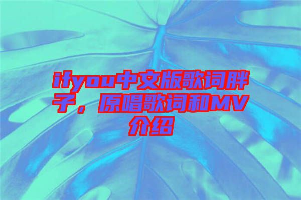 ifyou中文版歌詞胖子，原唱歌詞和MV介紹