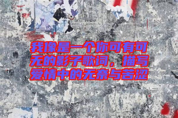 我像是一個你可有可無的影子歌詞，描寫愛情中的無奈與苦澀