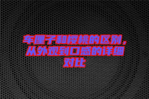 車?yán)遄雍蜋烟业膮^(qū)別，從外觀到口感的詳細(xì)對(duì)比