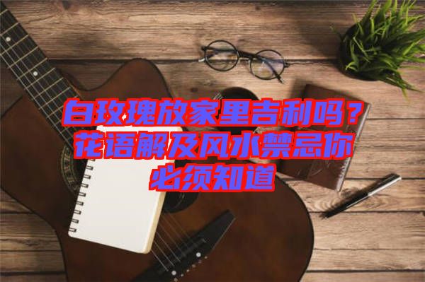 白玫瑰放家里吉利嗎？花語解及風(fēng)水禁忌你必須知道