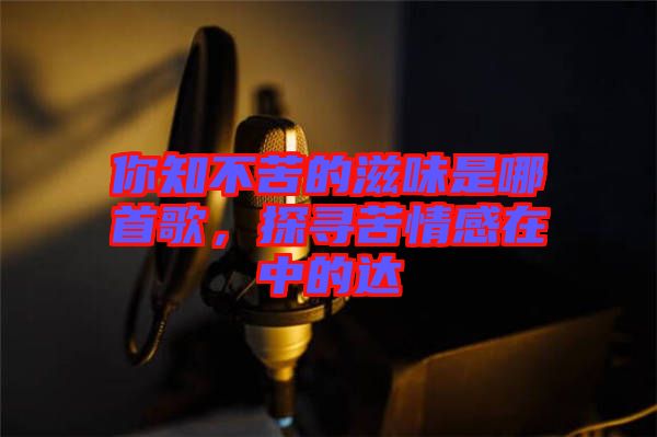 你知不苦的滋味是哪首歌，探尋苦情感在中的達