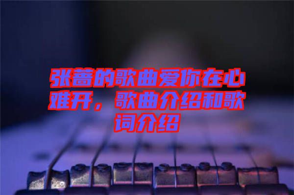 張薔的歌曲愛你在心難開，歌曲介紹和歌詞介紹