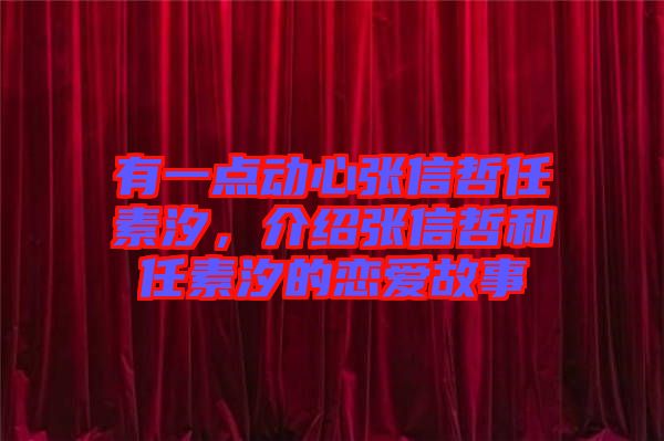 有一點(diǎn)動心張信哲任素汐，介紹張信哲和任素汐的戀愛故事