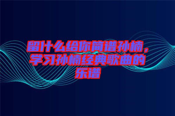 留什么給你簡譜孫楠，學習孫楠經(jīng)典歌曲的樂譜