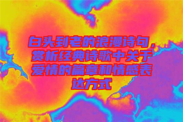 白頭到老的浪漫詩(shī)句，賞析經(jīng)典詩(shī)歌中關(guān)于愛情的篇章和情感表達(dá)方式