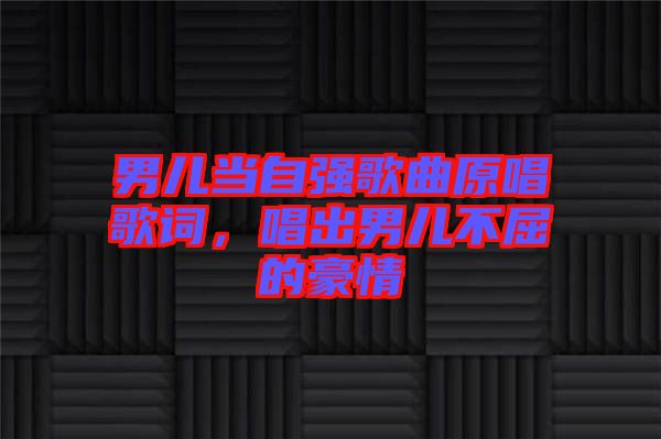 男兒當(dāng)自強(qiáng)歌曲原唱歌詞，唱出男兒不屈的豪情