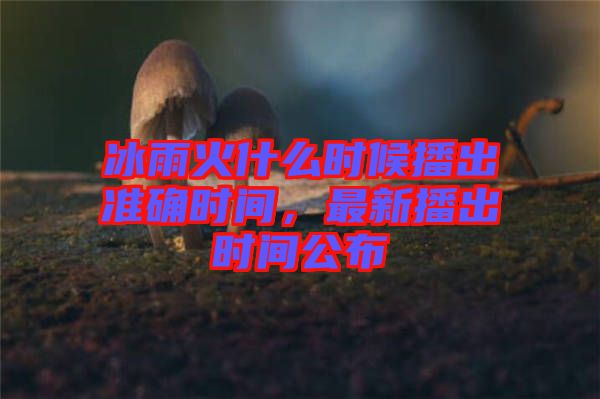 冰雨火什么時候播出準確時間，最新播出時間公布