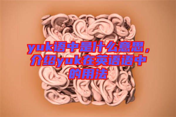 yuk語中是什么意思，介紹yuk在英語語中的用法