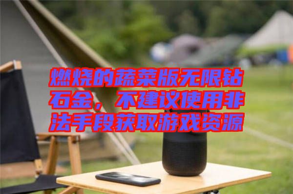 燃燒的蔬菜版無(wú)限鉆石金，不建議使用非法手段獲取游戲資源