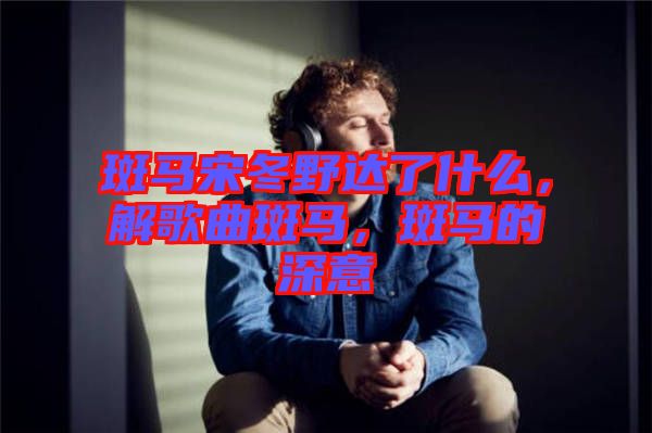 斑馬宋冬野達(dá)了什么，解歌曲斑馬，斑馬的深意