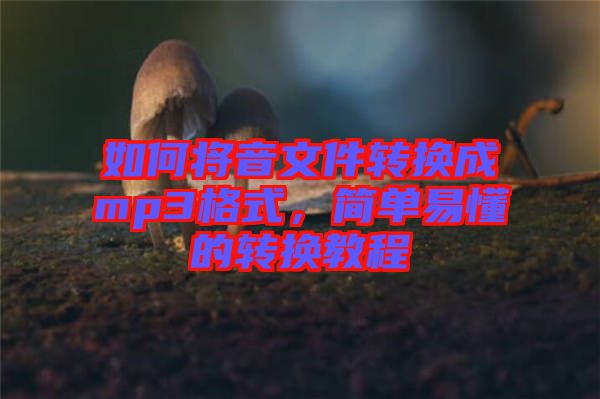 如何將音文件轉(zhuǎn)換成mp3格式，簡單易懂的轉(zhuǎn)換教程