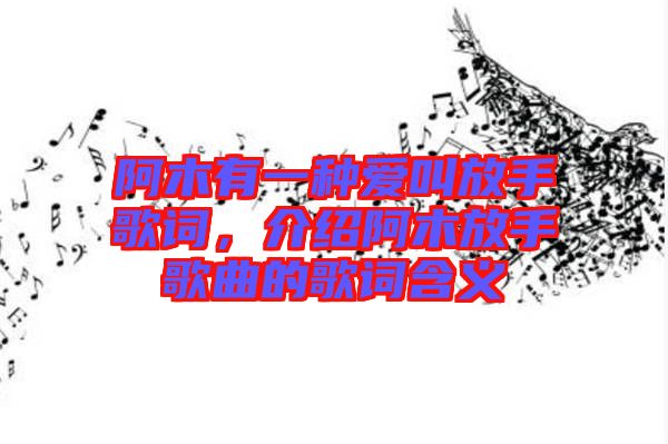 阿木有一種愛叫放手歌詞，介紹阿木放手歌曲的歌詞含義