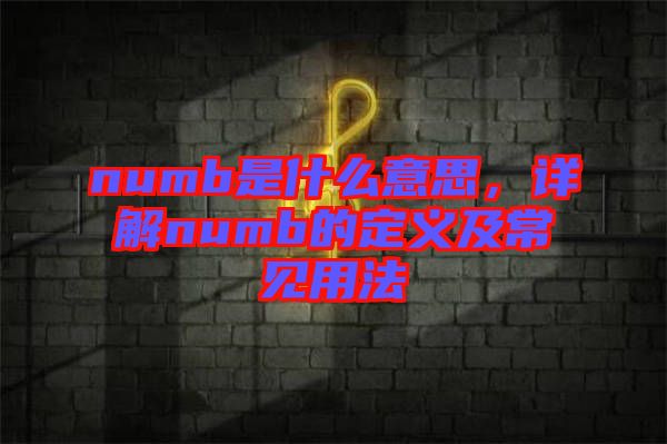 numb是什么意思，詳解numb的定義及常見用法