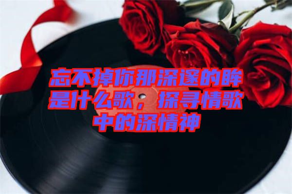 忘不掉你那深邃的眸是什么歌，探尋情歌中的深情神