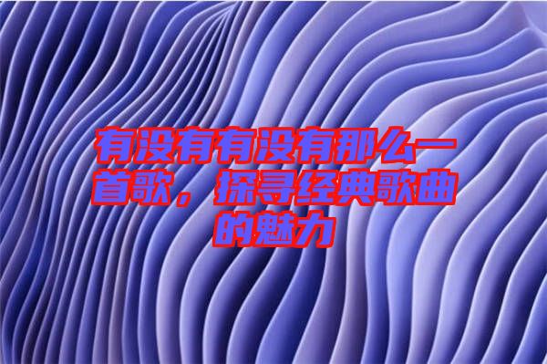 有沒有有沒有那么一首歌，探尋經(jīng)典歌曲的魅力