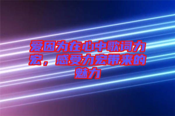 愛因為在心中歌詞力宏，感受力宏帶來的魅力