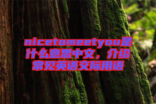 nicetomeetyou是什么意思中文，介紹常見英語交際用語