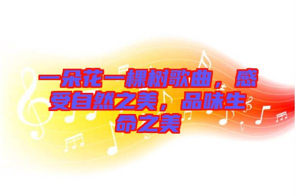 一朵花一棵樹歌曲，感受自然之美，品味生命之美