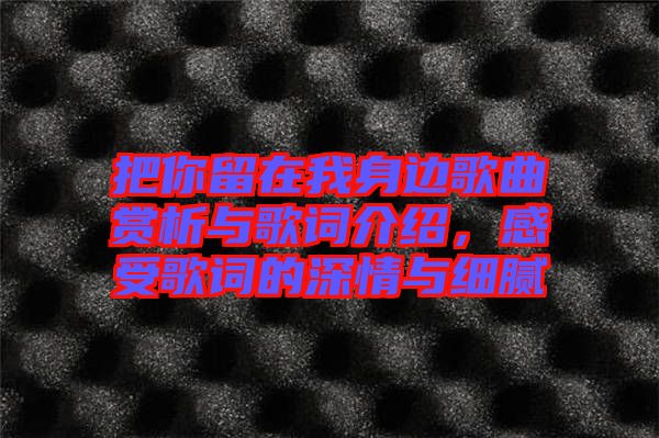 把你留在我身邊歌曲賞析與歌詞介紹，感受歌詞的深情與細(xì)膩