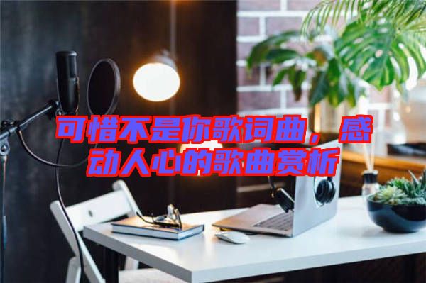 可惜不是你歌詞曲，感動(dòng)人心的歌曲賞析