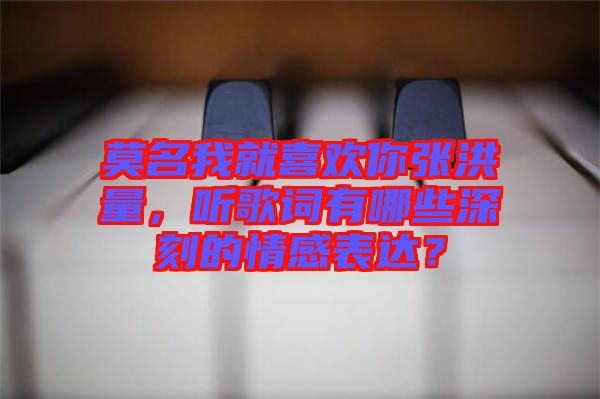 莫名我就喜歡你張洪量，聽歌詞有哪些深刻的情感表達？