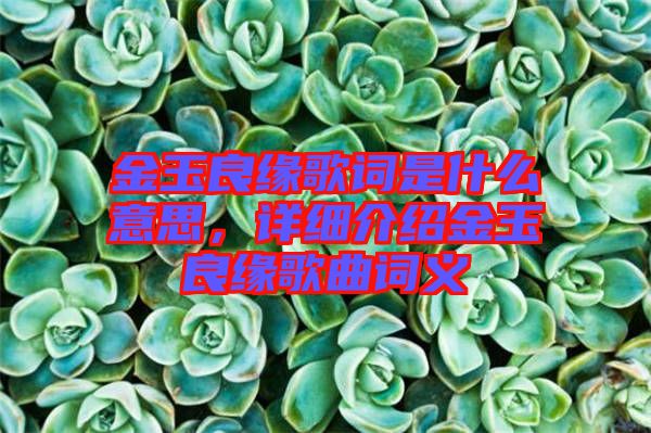 金玉良緣歌詞是什么意思，詳細(xì)介紹金玉良緣歌曲詞義