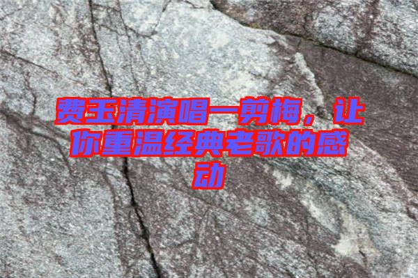 費玉清演唱一剪梅，讓你重溫經(jīng)典老歌的感動