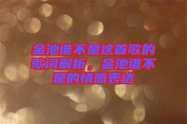 金池誰(shuí)不是這首歌的歌詞解析，金池誰(shuí)不是的情感表達(dá)