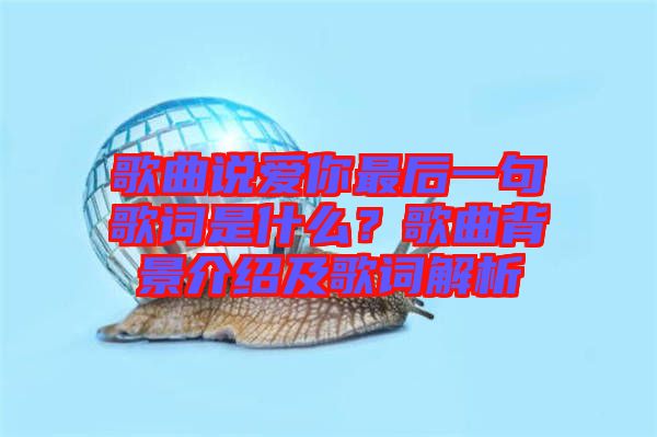 歌曲說愛你最后一句歌詞是什么？歌曲背景介紹及歌詞解析