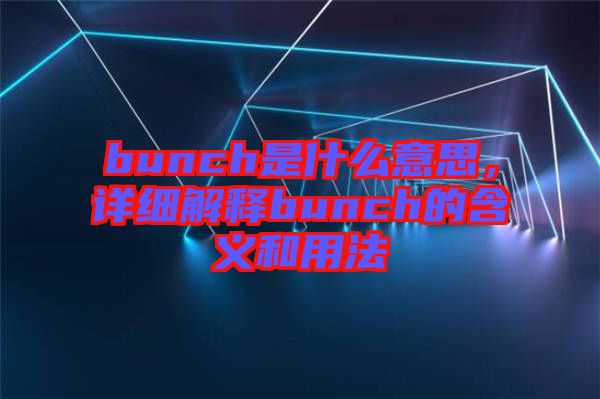 bunch是什么意思，詳細(xì)解釋bunch的含義和用法