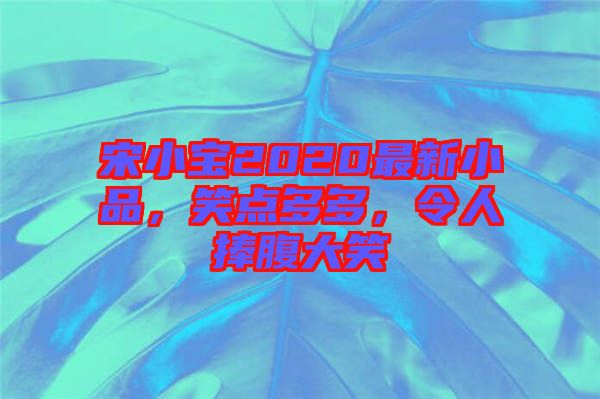 宋小寶2020最新小品，笑點(diǎn)多多，令人捧腹大笑