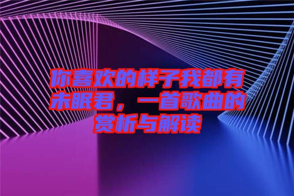 你喜歡的樣子我都有未眠君，一首歌曲的賞析與解讀