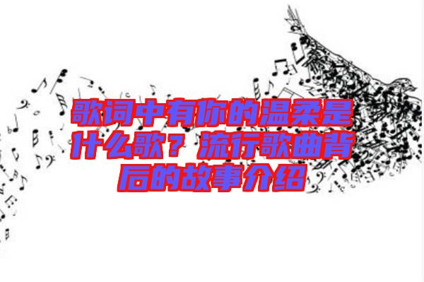 歌詞中有你的溫柔是什么歌？流行歌曲背后的故事介紹