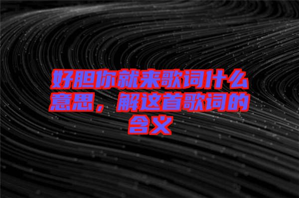 好膽你就來歌詞什么意思，解這首歌詞的含義