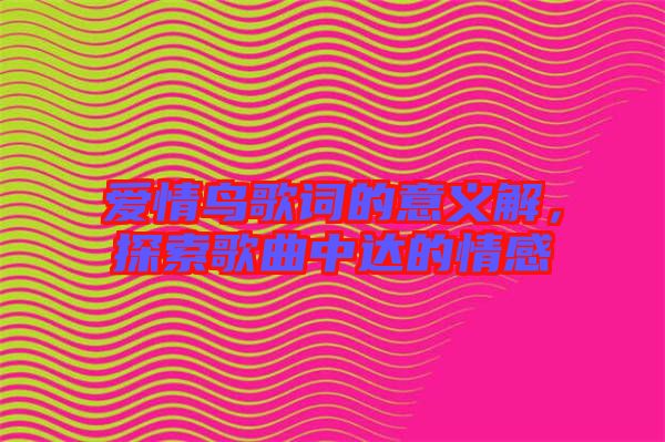 愛情鳥歌詞的意義解，探索歌曲中達(dá)的情感